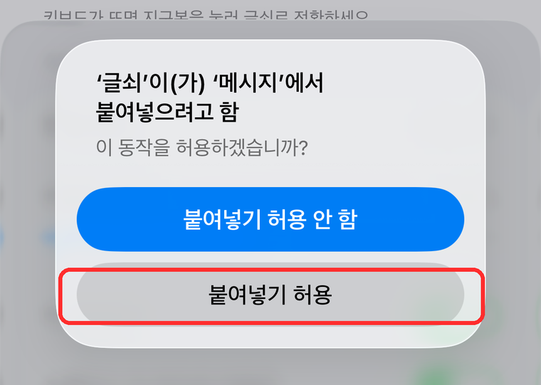 "글쇠가 메시지에서 붙여넣으려고 함" 확인 창. 붙여넣기 허용 버튼이 빨간 테두리로 표시돼 있다.